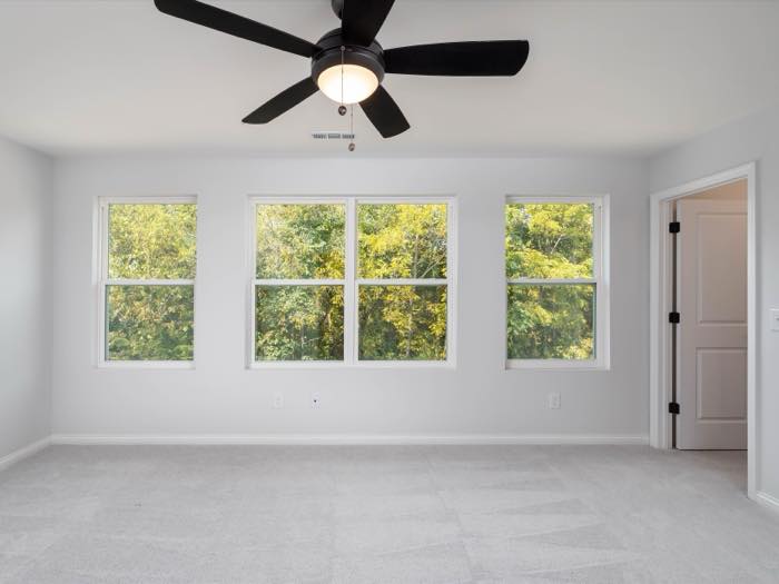 Three windows into the treeline