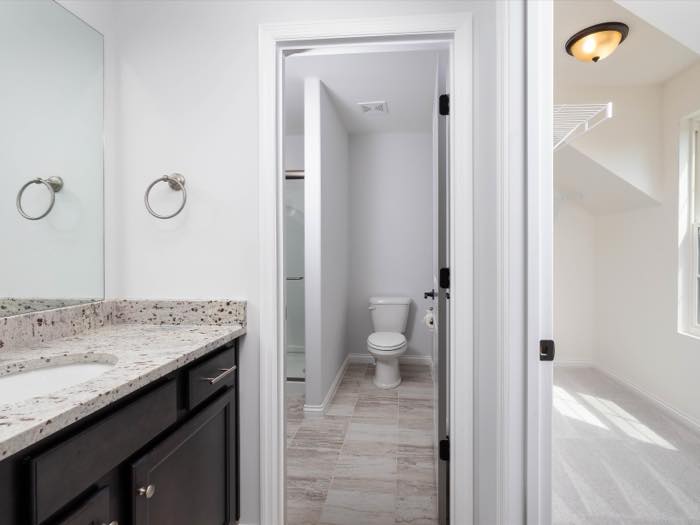 Vanity with a separate water closet