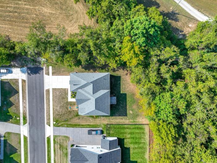 Overhead: one neighbor, trees on the other side